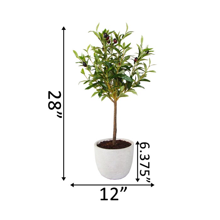 28 Faux Olive Tree Tree In Pot And Reviews Birch Lane 